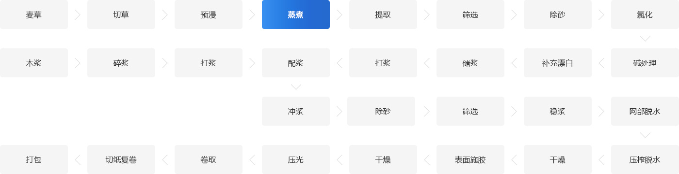 造紙廠鍋爐系統(tǒng)解決方案