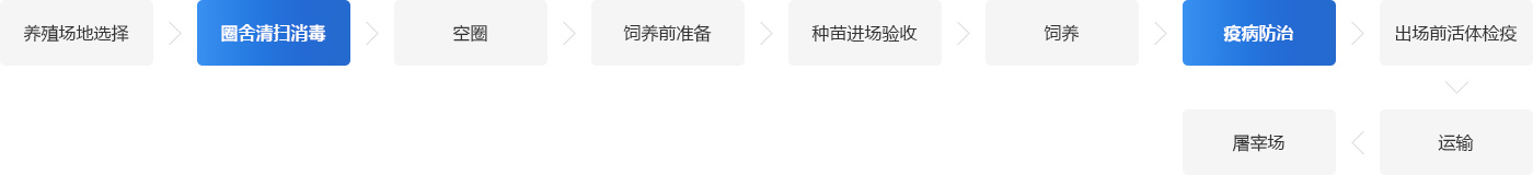 養(yǎng)蝦場鍋爐系統(tǒng)解決方案